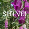 Shine