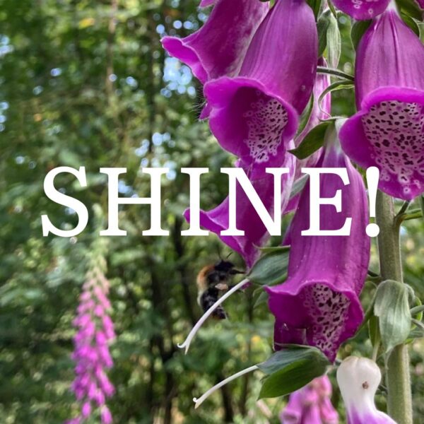 Shine